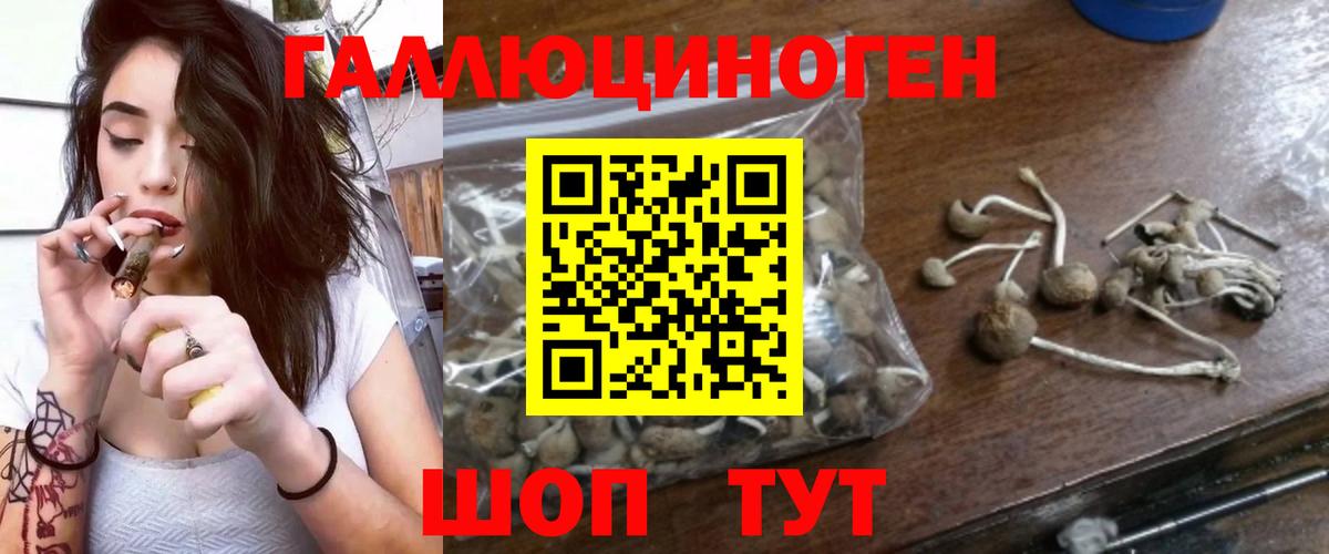 Рязань  что такое наркотик  Вход с VPN  Псилоцибиновые грибы MAGIC MUSHROOMS 